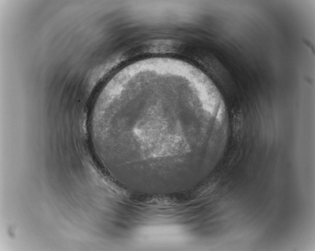 X0000102410727200808221911