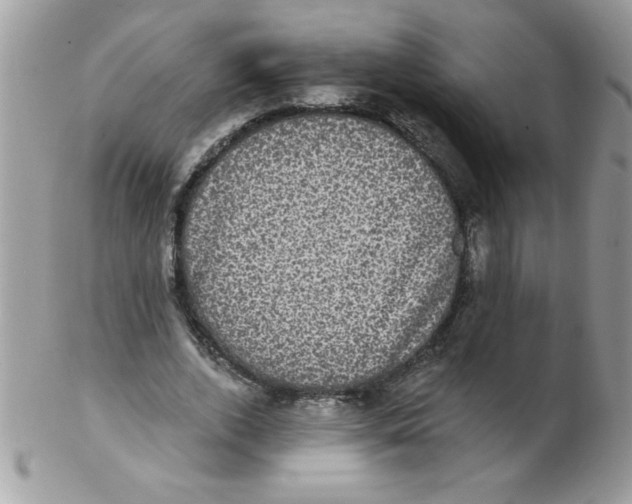 X0000102410728200808221911