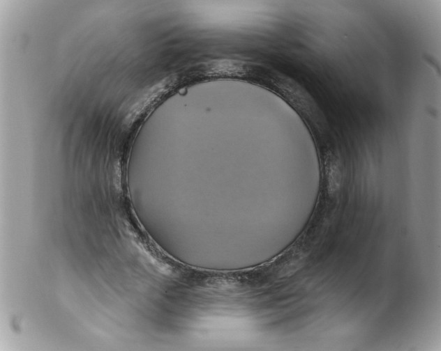 X0000102410729200808221911