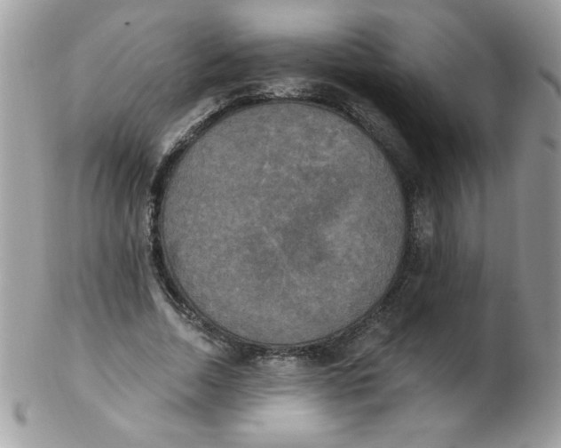 X0000102410730200808221911