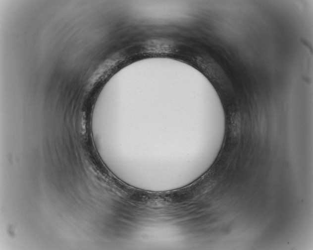 X0000102410731200808221911