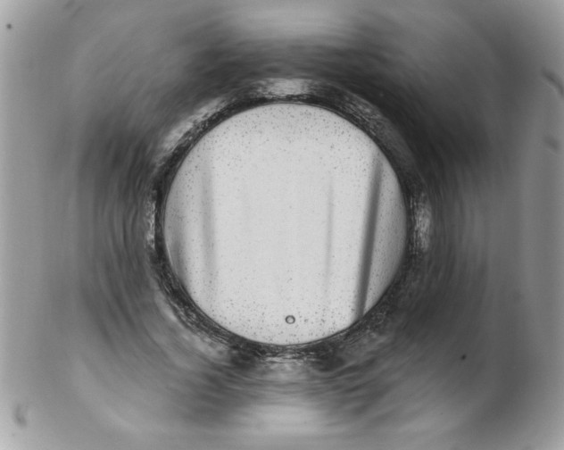 X0000102410732200808221911