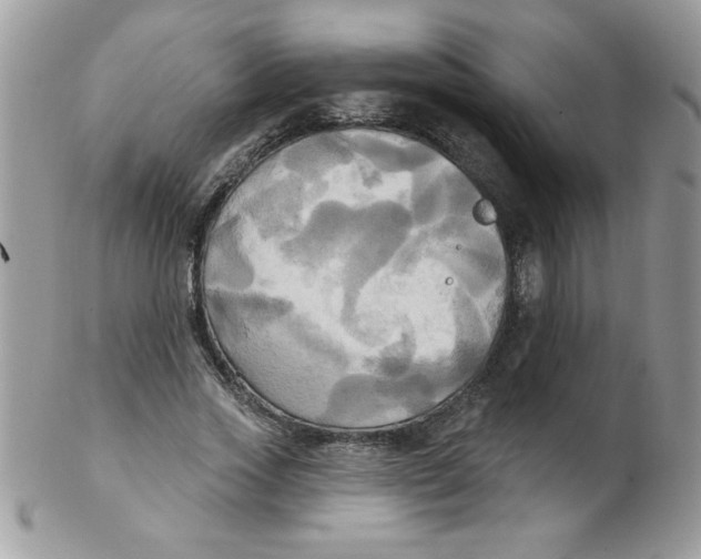 X0000102410733200808221911