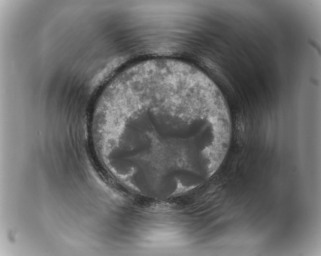 X0000102410734200808221911