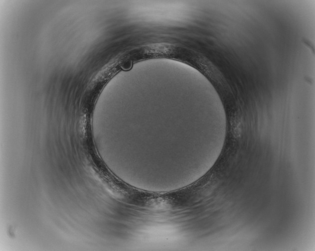 X0000102410735200808221911