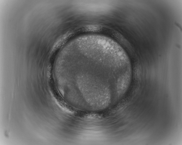 X0000102410736200808221911