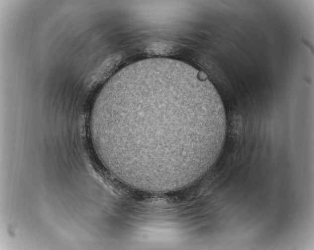 X0000102410738200808221911