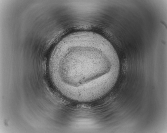 X0000102410739200808221911