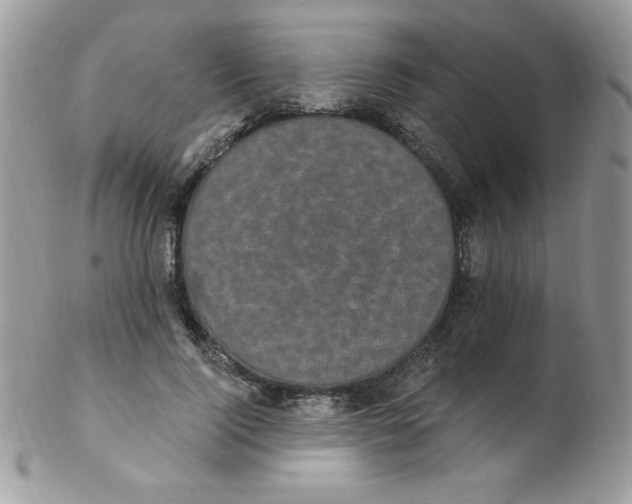 X0000102410740200808221911