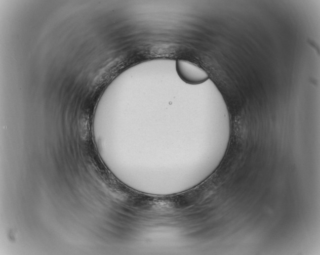 X0000102410741200808221911