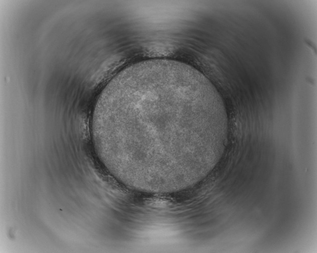 X0000102410743200808221911