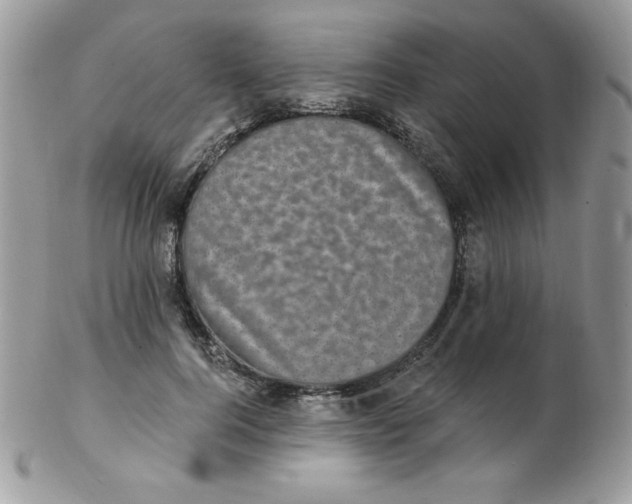 X0000102410744200808221911