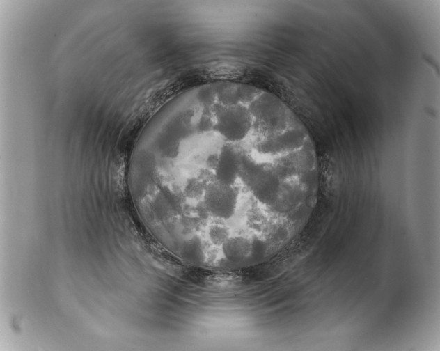 X0000102410745200808221911