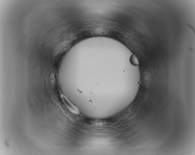 X0000102410746200808221911