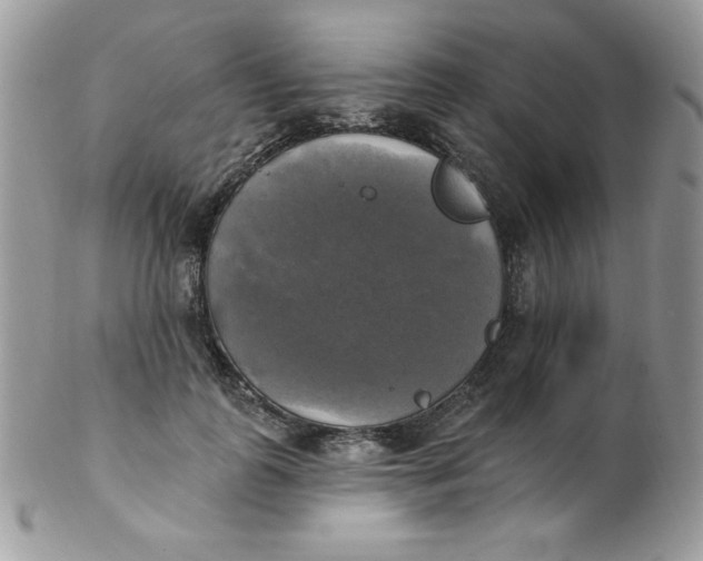 X0000102410747200808221911