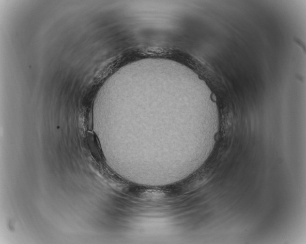 X0000102410749200808221911