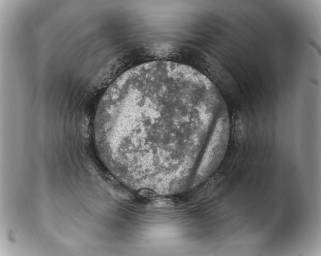 X0000102410750200808221911