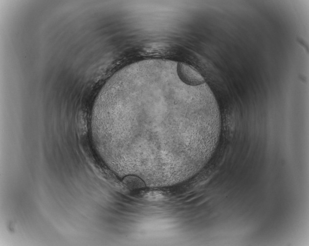 X0000102410751200808221911