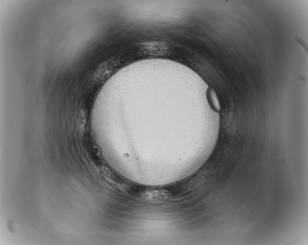 X0000102410752200808221911