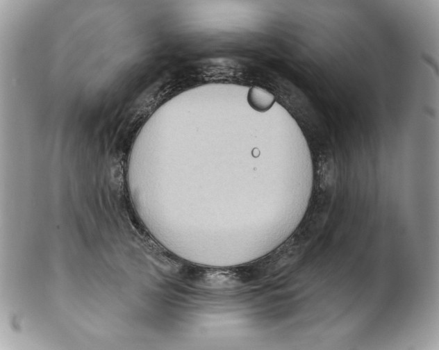 X0000102410753200808221911