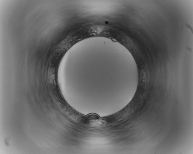 X0000102410754200808221911