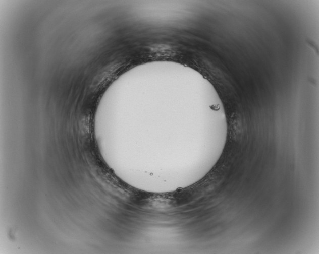 X0000102410756200808221911