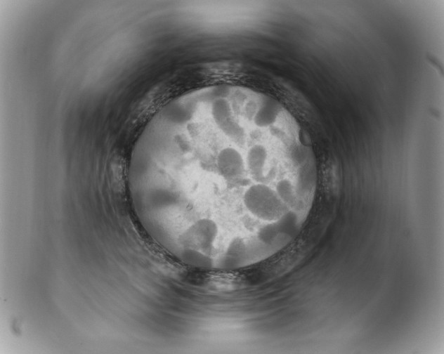 X0000102410757200808221911