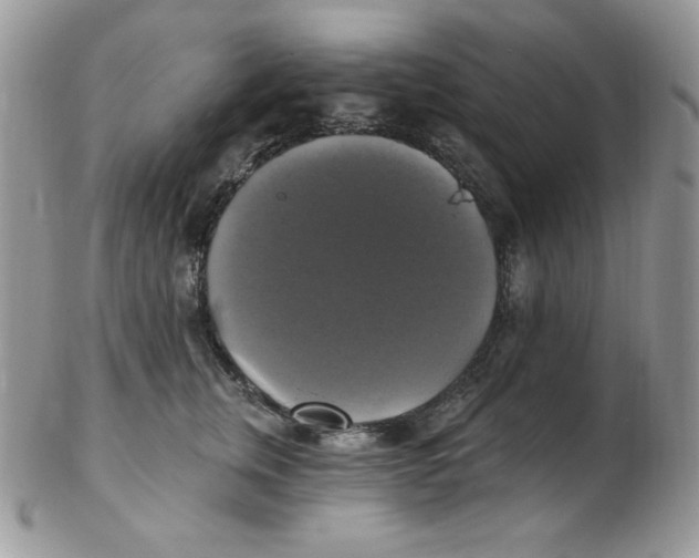 X0000102410759200808221911