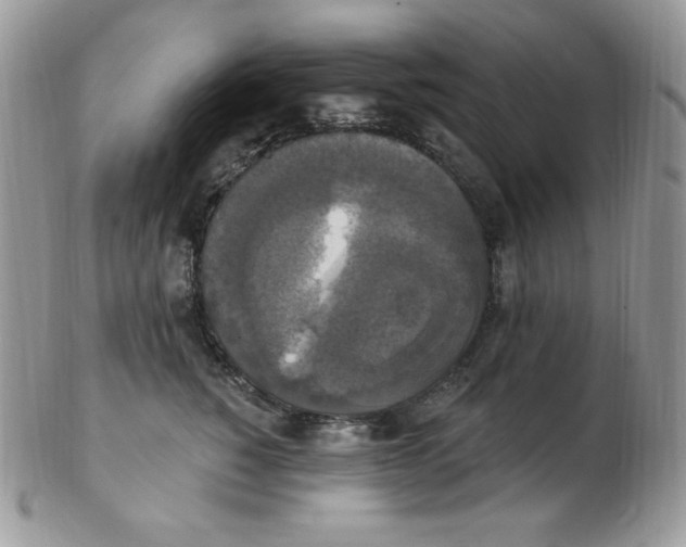 X0000102410760200808221911