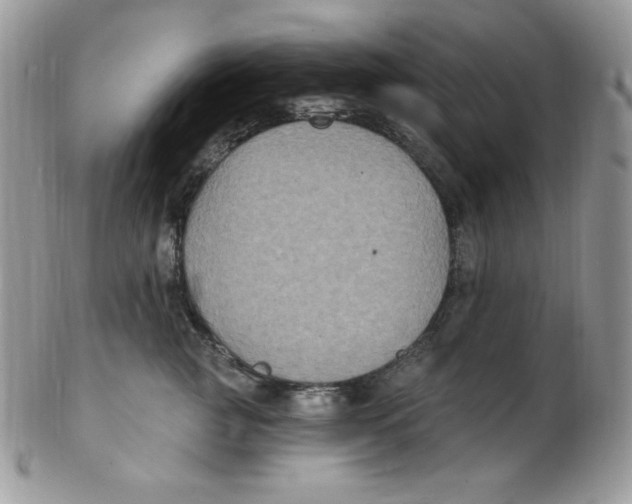 X0000102410761200808221911