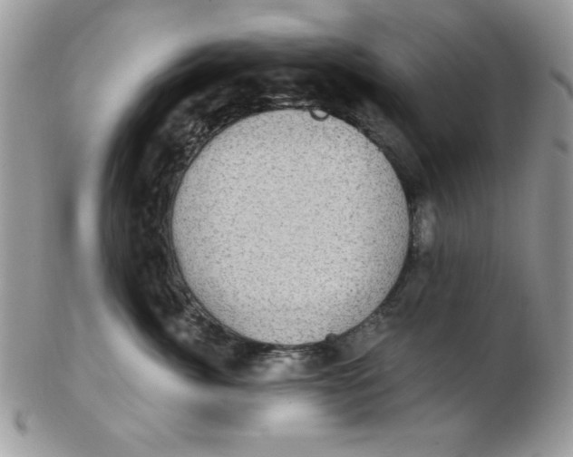 X0000102410764200808221911