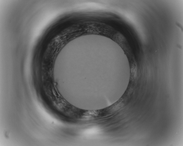 X0000102410765200808221911