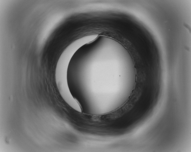 X0000102410766200808221911