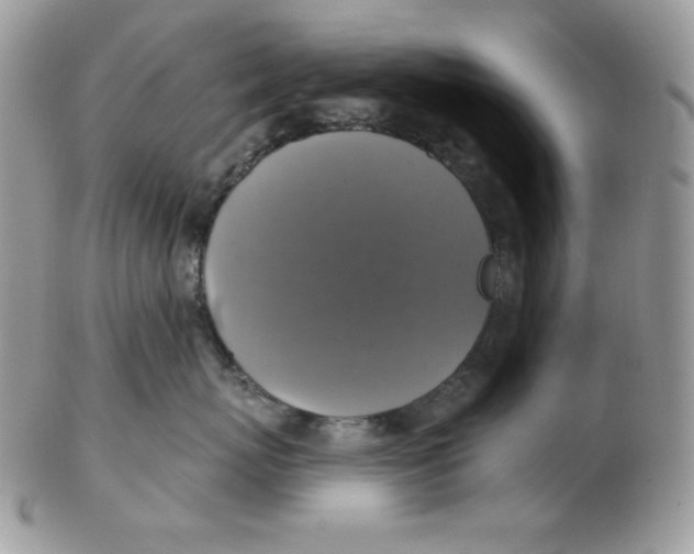 X0000102410767200808221911