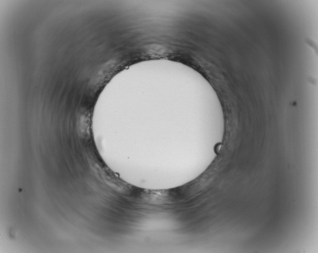 X0000102410768200808221911