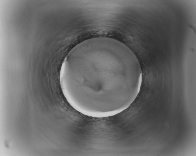 X0000102410769200808221911