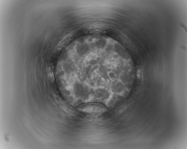 X0000102410771200808221911