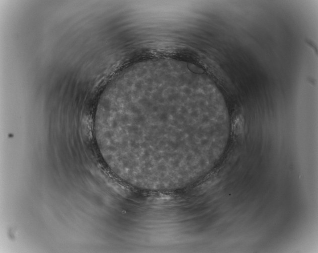 X0000102410772200808221911