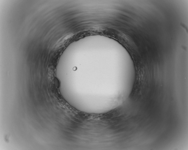 X0000102410773200808221911