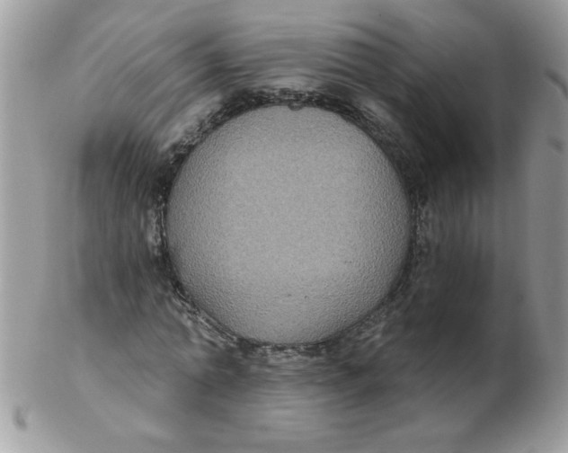 X0000102410774200808221911