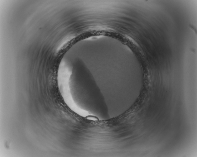 X0000102410775200808221911