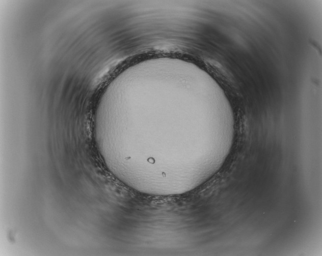 X0000102410776200808221911