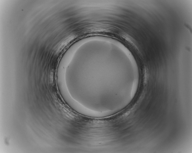 X0000102410777200808221911