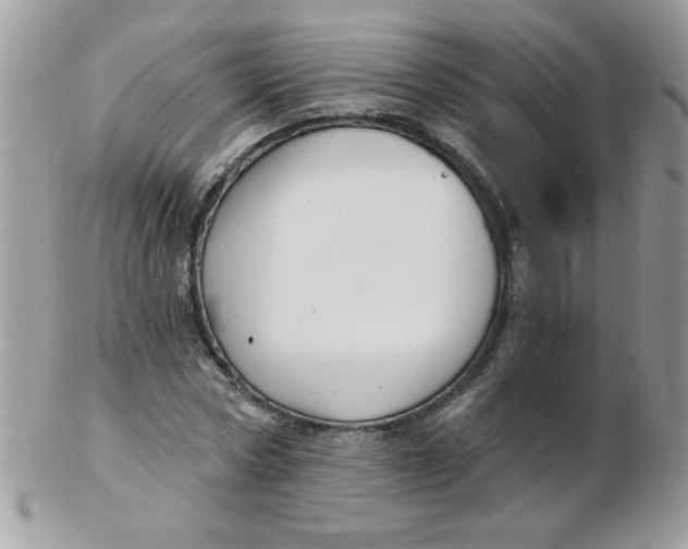 X0000102410778200808221911