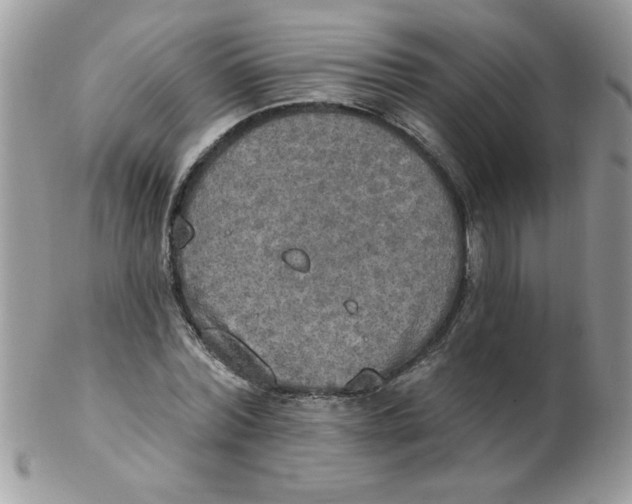 X0000102410780200808221910