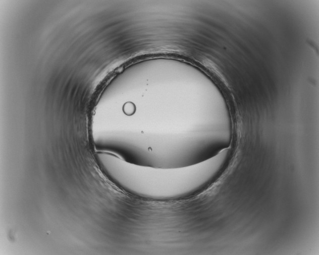 X0000102410781200808221910