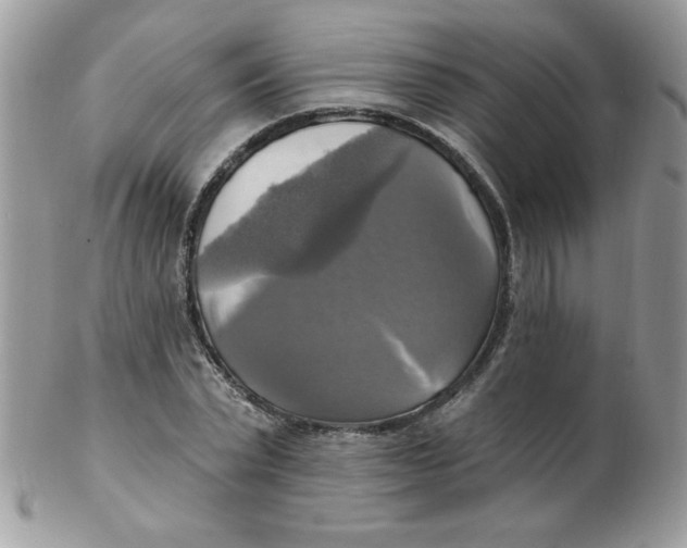 X0000102410783200808221910