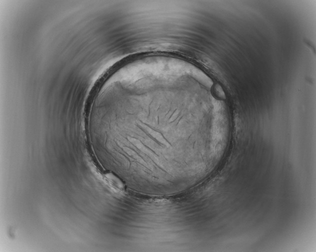 X0000102410784200808221910