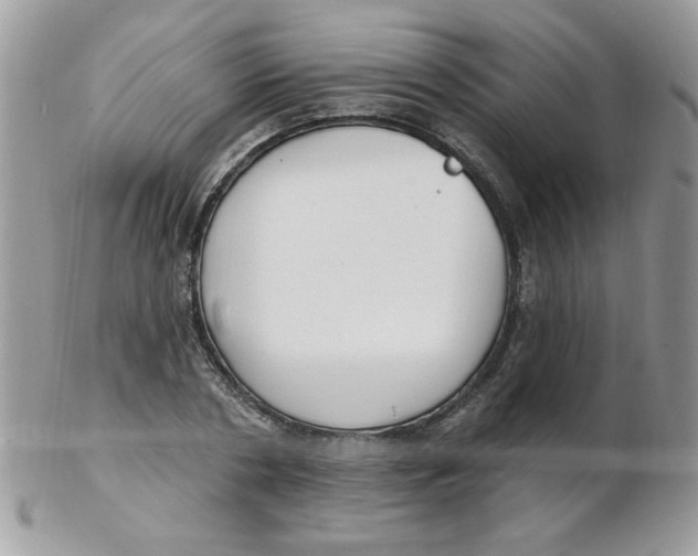 X0000102410786200808221910