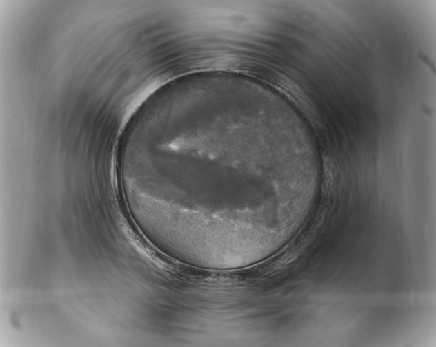 X0000102410788200808221910